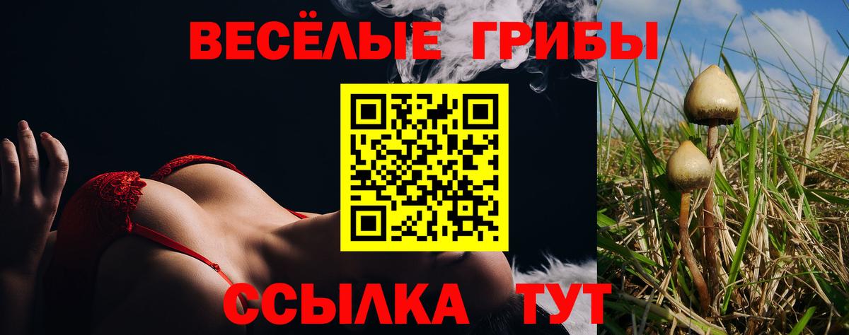НБОМе Амурск